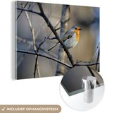 MuchoWow® Glasschilderij 90x60 cm - Roodborstje - Acrylglas Schilderij - Modern - Multicolor
