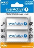everActive 2x R20 D 10000mAh Rechargeables