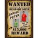 Bellatio Decorations Wanted poster - 59 x 42 cm - zelf een foto op plakken - voor vrijgezellenfeest/verjaardag - verjaardag poster - funny