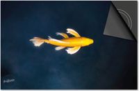 Dietrix Inductie beschermer - DELUXE - Under the Sea - Vis Geel - 76x51,5 cm