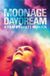 David Bowie Moonage Daydream - Maxi Poster - 61 x 96,5 cm