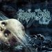 Let Spyder Baby - Let Us Prey