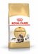 Royal Canin Breed Royal Canin Maine Coon Adult - Kattenvoer - 10 kg
