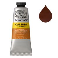 Winsor & Newton Galeria Acrylic Paint 74 Burnt Sienna (60 ml)