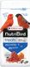 Nutribird Treats Gold Patée - Eivoer Rode Kleur met Honing - 250g