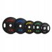 HMS Icecat Olympische Halterschijf Set - 2 x 20 kg - Blauw