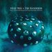 Sonic Rendezvous Yeliz Trio - The Wanderer (CD)