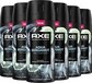 AXE Fine Fragrance Collection Aqua Bergamot Deodorant Bodyspray - 6 x 150ml - Men's