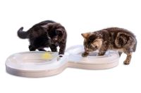 Beeztees Kitten Speelrail Agty - Kattenspeelgoed - Plastic - Wit - 50x24x5,5