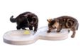 Beeztees Kitten Speelrail Agty - Kattenspeelgoed - Plastic - Wit - 50x24x5,5