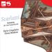 Newton Classics Ilario Gregoletto & Elena Modena - Scarlatti: Sonatas For Two Harpsichords (CD)
