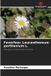 Feverfew: Our Knowledge Publishing Feverfew Paperback