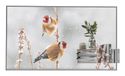 LG 55EW5P-M 55 Inch OLED Full HD Zilver Touchscreen