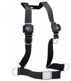 Ist Dolphin Tech Basic Harness Zwart