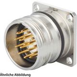 Hummel Set inkl. Kontakte M23 Signal Gerätesteckverbinder, Löteinsatz gerade Polzahl 6-polig, Stift mit Vibrationsschutz Vorderwand - 1 Stück