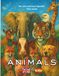 Animals: Color & Learn Spanish