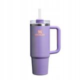 Stanley 1913 Fitness & hydratatie Bouteille Unisexe Gris