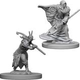 Asmodee D&D Miniatures Elf Male Druid