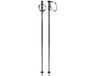 HEAD Frontside Stokken Zilver 125 cm Unisex Volwassenen Carbon Black / Green