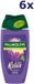 Wooners Palmolive Douchegel Aroma Sensations Absolute Relax 6 x 250 ml