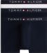 Tommy Hilfiger T-shirt Homme Coton Blanc / Desert Sky