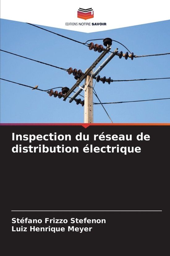Inspection OmniScriptum SRL Inspection du réseau de distribution électrique