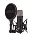 RØDE NT1 Signature - Studio Microfoon - Zwart