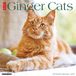 Ginger Willow Creek Press Ginger Cats 2027 12 X 12 Wall Calendar