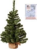Decoris Volle kerstboom in jute zak 60 cm inclusief helder witte kerstverlichting