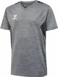 Hummel Kindersportshirt Hmlauthentic Pl Jersey S/S Kids 219965