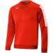 Mizuno Junior Sweatshirt Nara Training