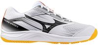 Mizuno Cyclone Speed 5 Indoorschoenen Heren