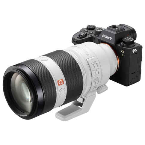 Sony A9 II + 100-400mm GM OSS