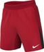 Nike M NK DFADV Vapor V Short K
