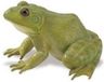 Safari Amerikaanse Brulkikker Junior Speeldier 12 Cm Groen