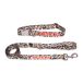 Fisura - Set van halsband en riem voor kleine en middelgrote honden met het opschrift "Born to be Wild", verstelbare halsband en riem voor honden, van nylon.