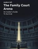 The Independently Published The Family Court Arena: An Insider'S Guide To Survival Paperback
