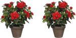 Mica Decorations Kunstplant - 2x - Azalea - groen/rood - 27 cm