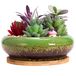 ARTKETTY Vetplantenpot, 18,5 cm grote bonsaipot met dienblad, keramische vetplant met afvoergat, ondiepe cactusbloempotten voor binnen/buitenplanten geglazuurde plantenbak, groen