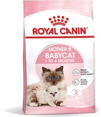 Royal Canin Mother & Babycat - 10 kg - Kitten-Kattenvoer