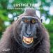 Lustige Funny Animals 2027: Kalender 2027
