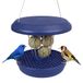 SWISSINNO Vogelvoeder Luzern SMART BIRDS - Hangende Schone Voederplek - Muizen- en Rattenbestendig - Voor Roodborstjes, Nigerzaad - Sterk en Betrouwbaar - Voor Vetbollen - Indigo
