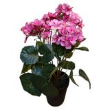 Merkloos / Sans marque Mansion Atmosphere Kunstplant pelargonium roze 42cm