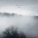 Konkurrent Poppy Ackroyd - Liminal (CD)