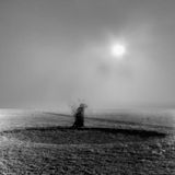 Heights Leo Svirsky Heights In Depths Depths In Heights
