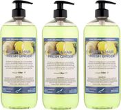 Claudius Cosmetics B.V. Body & Hair Fresh Ginger 1 liter - set van 3 stuks - met gratis pomp - 2 in 1 voor lichaam en haar.