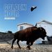 Golden Julien Erié - Golden Hour (CD)