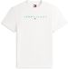 Tommy Jeans T-shirt Tjm Reg Linear Logo Tee Ext Dm0dm20744 L5y Ecru/bahama Green Hommes Taille L