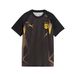 PUMA Borussia Dortmund warm-up-voetbalshirt, Zwart/Geel, Maat 11-12Y