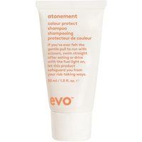 evo Colour Protect Atonement Colour Shampoo Shampoing